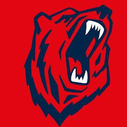 Net-bear - logo