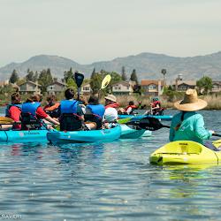 Napavalleypaddle - logo