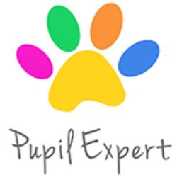 Pupilexpert - logo