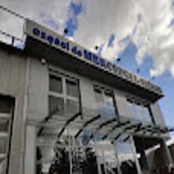 Czescidomercedesa - logo