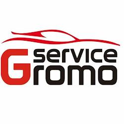 Gromoservice - logo