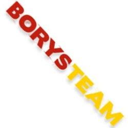 Borys team - logo