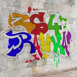 Zs4skierniewice - logo