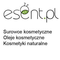 Esent - logo