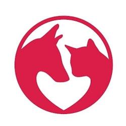 Canifel - logo