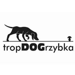 Tropdogrzybka - logo
