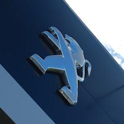 Magurka - logo
