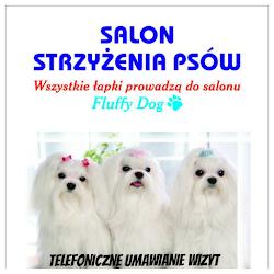 Fluffydog - logo