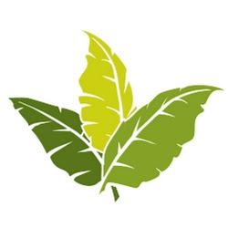 Thebrightleafbuilding - logo