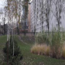 Przedszkole91 - logo