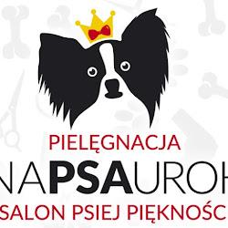 Napsaurok - logo