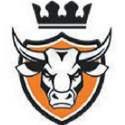 Kingwaypoland - logo