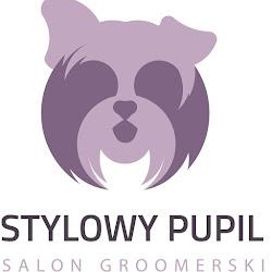 Salonstylowypupil - logo