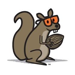 Nutstop - logo