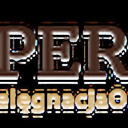 Pielegnacjaobuwia - logo