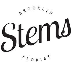 Stemsbrooklyn - logo