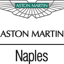 Naplesluxuryimports - logo