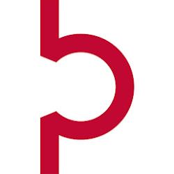 Palacbielawa - logo
