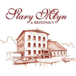 Starymlynwbrzeznicy - logo