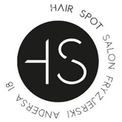 Hairspot - logo