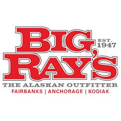 Bigrays - logo