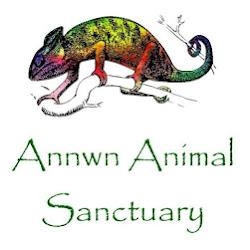 Wild discovery - logo