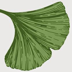 Ginkgogardens - logo