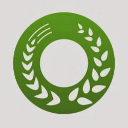 Cnstarogard - logo