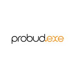 Probudexe - logo