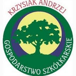 Iglaki - logo