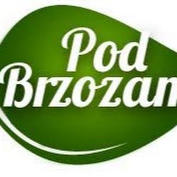 Podbrzozami - logo