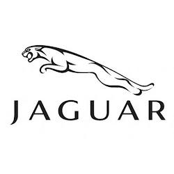 Flowjaguargreensboro - logo