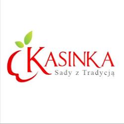 Kasinkasady - logo