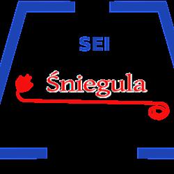 Salon-sniegula - logo