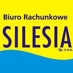 E biurosilesia - logo
