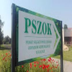 Pszok - logo