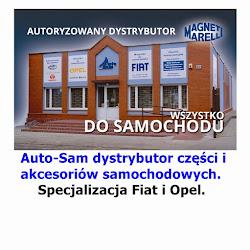 Auto sam - logo