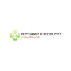 Pilichowski - logo