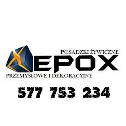 Epox-posadzki - logo