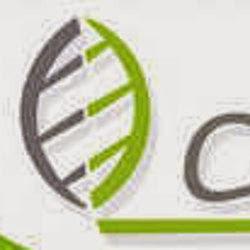 Cadilak - logo