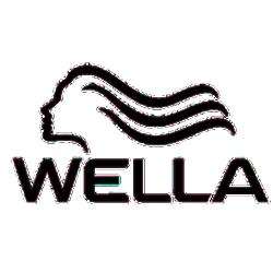 Salonwella - logo