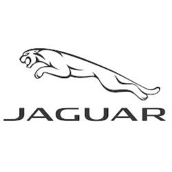 Jaguarhenderson - logo