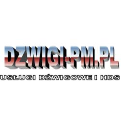 Dzwigi pm - logo