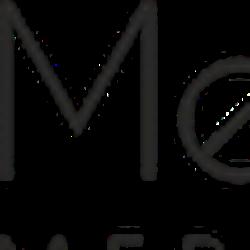 Medest silesia - logo