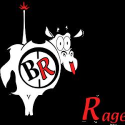 Brandrageous - logo