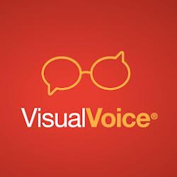 Visualvoice - logo