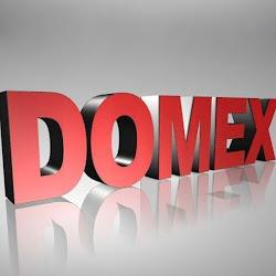 Domexautoczesci - logo