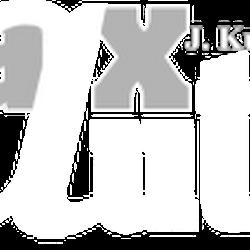 Max auto - logo