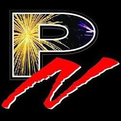 Pyronovelties - logo