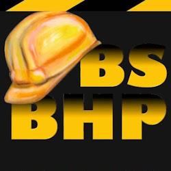 Hse bhp - logo